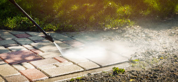Solar Panel Cleaning in Shelby, OH